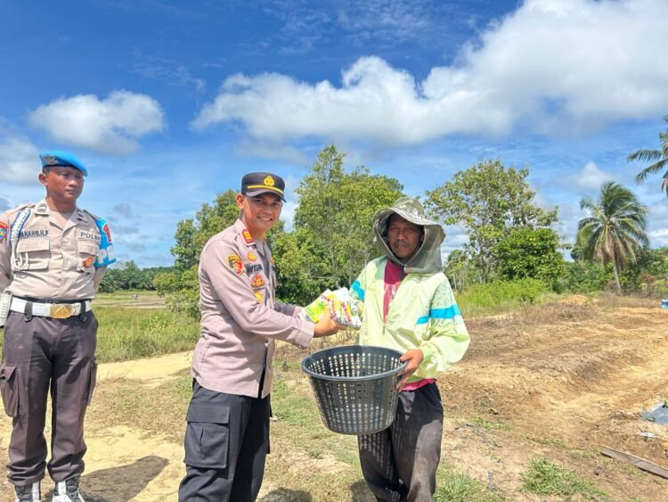 Giat Ketahanan Pangan Polsek Sebatik Timur Laksanakan Penanaman Bibit Cabai dan Pelepasan Bibit Ikan Patin