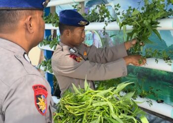 Asta Cita Presiden RI, Sat Polairud Polres Tarakan Ciptakan Ketahanan Pangan dengan Bertanam Sayur Hidroponik
