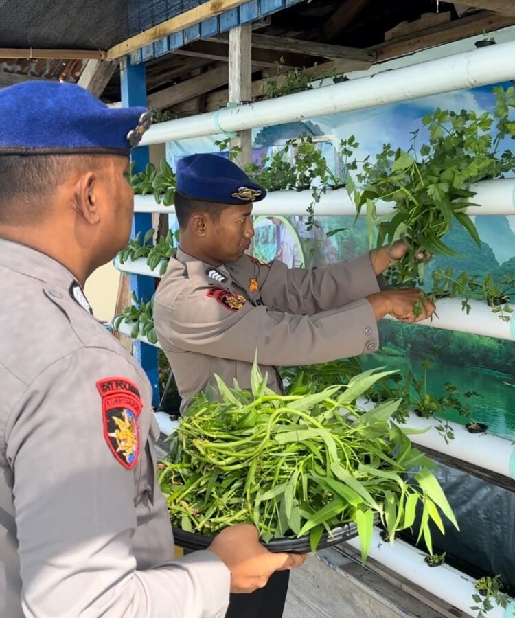 Asta Cita Presiden RI, Sat Polairud Polres Tarakan Ciptakan Ketahanan Pangan dengan Bertanam Sayur Hidroponik