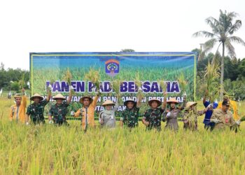 Pj. Wali Kota Tarakan Hadiri Panen Padi Bersama di Kelurahan Mamburungan