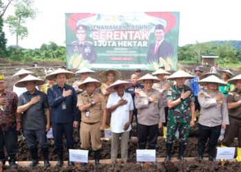 Mendukung Ketahanan Pangan, Berikut Lokasi Penanaman Jagung oleh Polda Kaltara dan Polres Jajaran