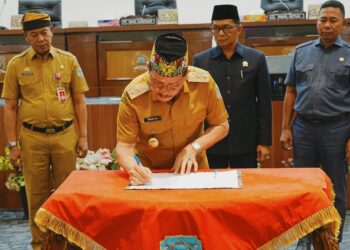 Wakil Gubernur Tegaskan Pentingnya Tata Ruang Berkelanjutan