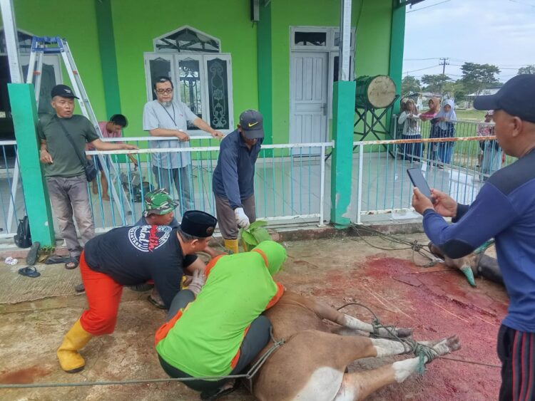 Idul Adha Masjid Baitul Amin Sembelih 5 Ekor Sapi, Target 510 Kantong Disalurkan