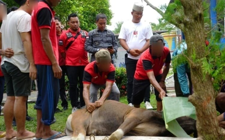 Iduh Adha 146 H, Lapas Kelas IIB Nunukan Sembelih 7  ekor sapi dan 4  ekor kambing