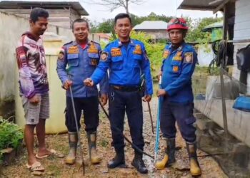 Petugas Damkar Malinau Evakuasi Ular Kobra yang Masuk Rumah Warga