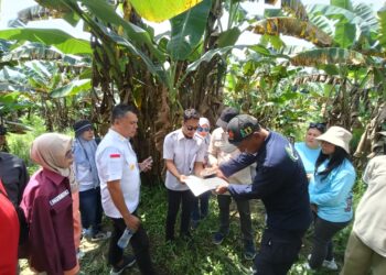 Kanwil Kemenkum Kaltim Matangkan Persiapan Verifikasi Indikasi Geografis Pisang Kepok Kutai Timur