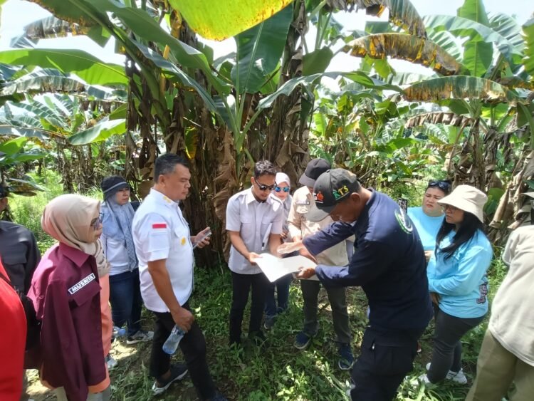 Kanwil Kemenkum Kaltim Matangkan Persiapan Verifikasi Indikasi Geografis Pisang Kepok Kutai Timur