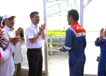 Dukung Ketahanan Pangan, PT Pertamina EP Sangasanga Field Fasilitasi Pendirian Green House Hidroponik