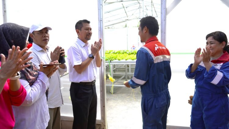 Dukung Ketahanan Pangan, PT Pertamina EP Sangasanga Field Fasilitasi Pendirian Green House Hidroponik