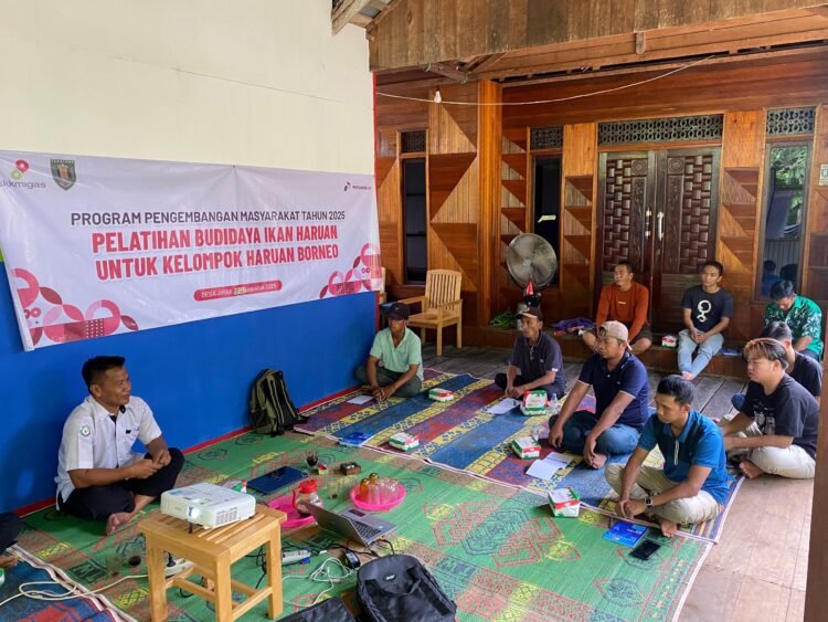 Dukung Kebijakan Ketahanan Pangan di Wilayah Tabalong, PT Pertamina EP Tanjung Field Gelar Pelatihan Budidaya Ikan Haruan bagi Masyarakat Desa Jirak