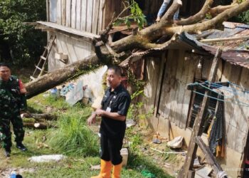 Pohon Tumbang, Rumah Rusak dan Tanah Longsor Terjadi di 10 RT Sebengkok Tarakan