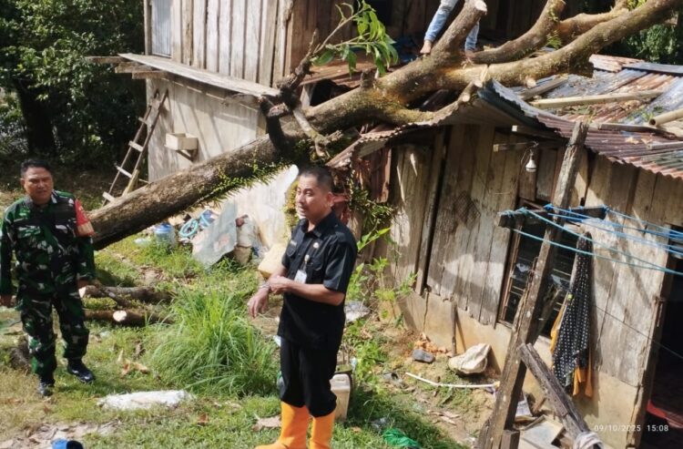 Pohon Tumbang, Rumah Rusak dan Tanah Longsor Terjadi di 10 RT Sebengkok Tarakan