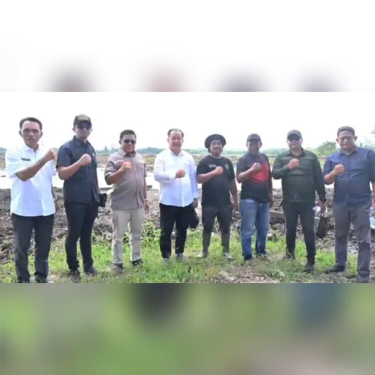 Komisi II DPRD Kaltara Tinjau Progres Fisik dan Pemanfaatan Lahan Percetakan Sawah di Tarakan