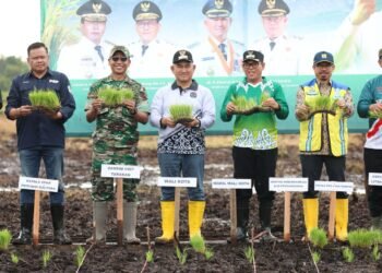 Memperkuat Ketahanan Pangan, Pemkot Tarakan Cetak Sawah