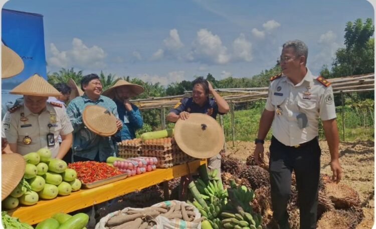 Berhasil Jalankan Program Ketahanan Pangan, Lapas Nunukan Lakukan Panen raya