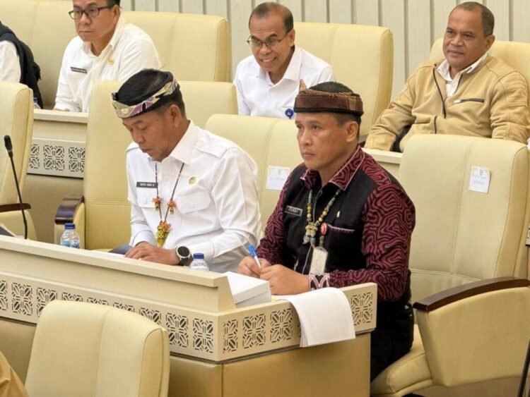 Penyelesaian Perbatasan Nasional RI-Malaysia Berjalan Sesuai Rencana, BPP Kaltara Memastikan Tidak Ada Desa yang Terabaikan