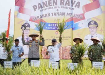 Panen Padi Capai Target, Komitmen Penuh Pemerintah Mendukung Swasembada Pangan Nasional