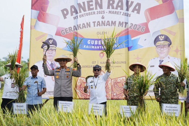 Panen Padi Capai Target, Komitmen Penuh Pemerintah Mendukung Swasembada Pangan Nasional