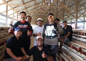 Dukung Ketahanan Pangan, Kapolda dan Wakapolda Kaltara Tinjau Budidaya Ayam Petelur di Desa Tanjung Agung