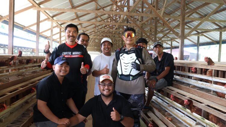 Dukung Ketahanan Pangan, Kapolda dan Wakapolda Kaltara Tinjau Budidaya Ayam Petelur di Desa Tanjung Agung