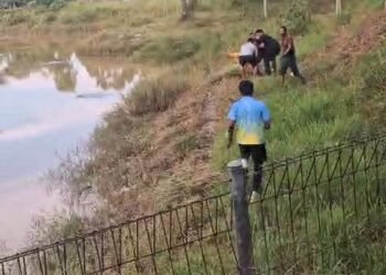 Seorang Ibu Pencari Rumput Diterkam Buaya, Personel Polres tarakan Sigap Lakukan Penyelamatan