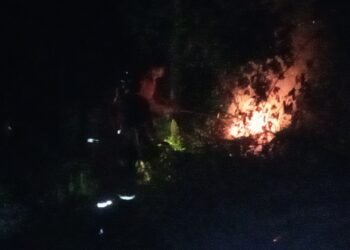 Botol Thinner Ditemukan di Lokasi, Kebakaran Lahan Juata Permai Diduga Disengaja