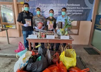 Karantina Kaltara Musnahkan Produk Ilegal Asal Luar Negeri