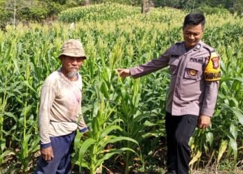 Mendukung Program Ketahanan Pangan, Bhabinkamtibmas Polsek Tarakan Timur Laksanakan Patroli Dialogis