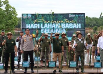 Kapolda Kaltara Hadiri Penanaman Mangrove Peringatan Hari Lahan Basah Sedunia
