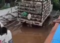Pikap Muat Ribuan Ayam Terendam Bersama KM Fatimah 2 yang Karam di Mahakam