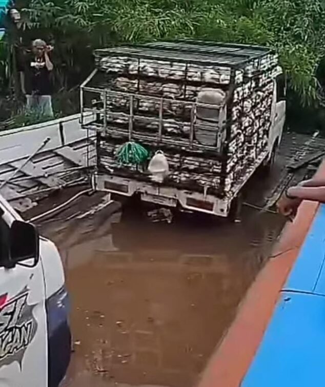 Pikap Muat Ribuan Ayam Terendam Bersama KM Fatimah 2 yang Karam di Mahakam