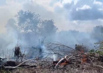 Karhutla Berulang di Tarakan, Camat Tarakan Utara Keluarkan Imbauan dan Ingatkan Aturan Pemerintah