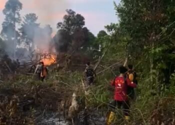 Karhutla di Binalatung, Penanganan Libatkan TNI, POLRI dan Relawan