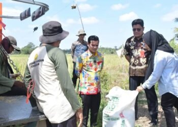 Irwan Sabri Kirim Sinyal Kuat: Pemkab Nunukan Prioritaskan Revolusi Pertanian dari Sawah