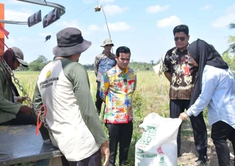 Irwan Sabri Kirim Sinyal Kuat: Pemkab Nunukan Prioritaskan Revolusi Pertanian dari Sawah