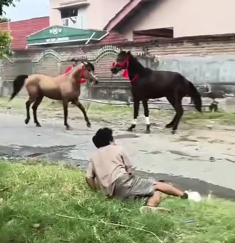 Tradisi Tyu Usai Lebaran di Lombok Timur, Antara Rindu Kampung Halaman dan Risiko di Jalanan
