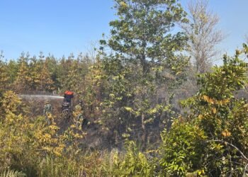 Padamkan Lebih 6 Hektar Karhutla di Tarakan, 2 Petugas Alami Luka