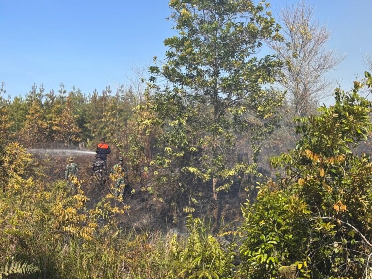 Padamkan Lebih 6 Hektar Karhutla di Tarakan, 2 Petugas Alami Luka