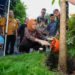 Tanam Tabebuya di Kampung Toleransi, Wakil Wali Kota Surakarta Dorong Ruang Hijau Inklusif