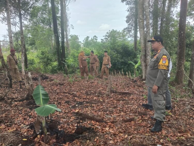 Pemkot Tarakan Perketat Pengawasan RTH, Camat Tarakan Utara Tinjau Perambahan Hutan Kota
