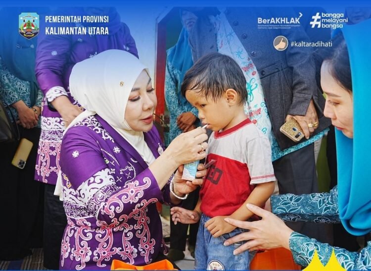 Langkah Nyata dari Posyandu, TP-PKK Kaltara Kebut Target Nol Stunting di Nunukan Selatan