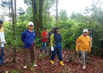 Wali Kota Tarakan: RTH Juata Permai Harus Dijaga, Perambahan Ancam Ekosistem
