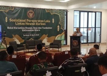 Perkuat Pengawasan Jelang Iduladha, Karantina Kaltara Sosialisasikan Aturan Lalu Lintas Hewan Kurban