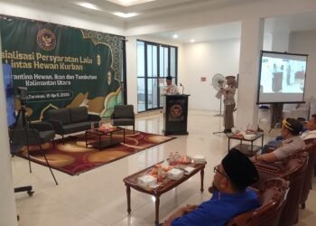 Pemkot Tarakan Tegas Kawal Distribusi Hewan Kurban Jelang Iduladha