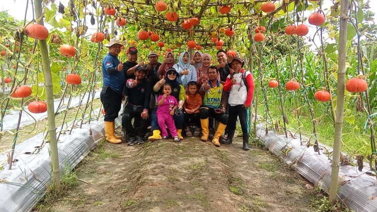 Dari Kebun Kecil, Tumbuh Harapan Besar di Tarakan Utara
