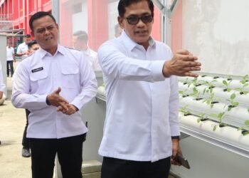 Kemenimipas Optimalkan WFH Hybrid, Abdullah Rasyid: Kinerja dan Layanan Harus Tetap Prima