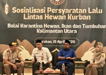 DPRD Tarakan Ingatkan Dampak Lalu Lintas Ternak, Soroti Nasib Pedagang Lokal