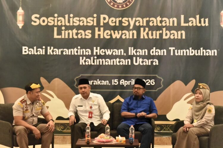 DPRD Tarakan Ingatkan Dampak Lalu Lintas Ternak, Soroti Nasib Pedagang Lokal