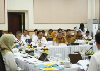 123 Desa Perbatasan Kaltara Belum Berlistrik, Pemprov Perkuat Dukungan Program Lisdes