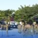 Sekprov Kaltara Dorong ASN Perkuat Integritas dan Pelayanan Publik